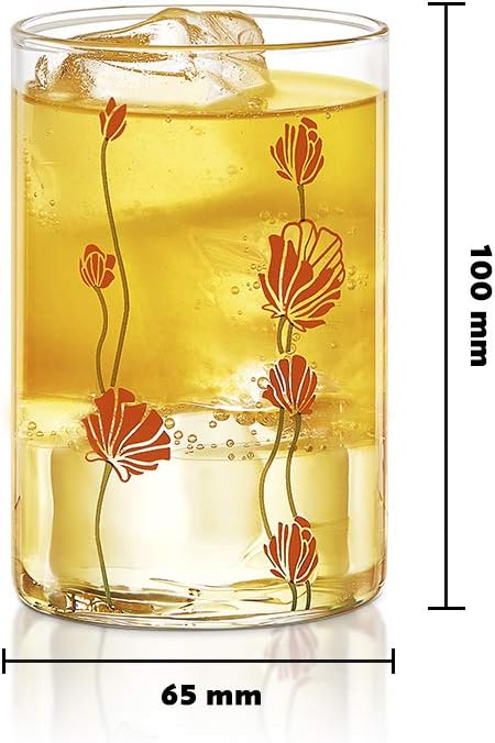 BOROSIL Vision Designer Glass Set Of 6 | Beverage Glasses For Juice | Scratch Resistant | Microwave Safe | Lightweight | 295ML | BVVREBDM295