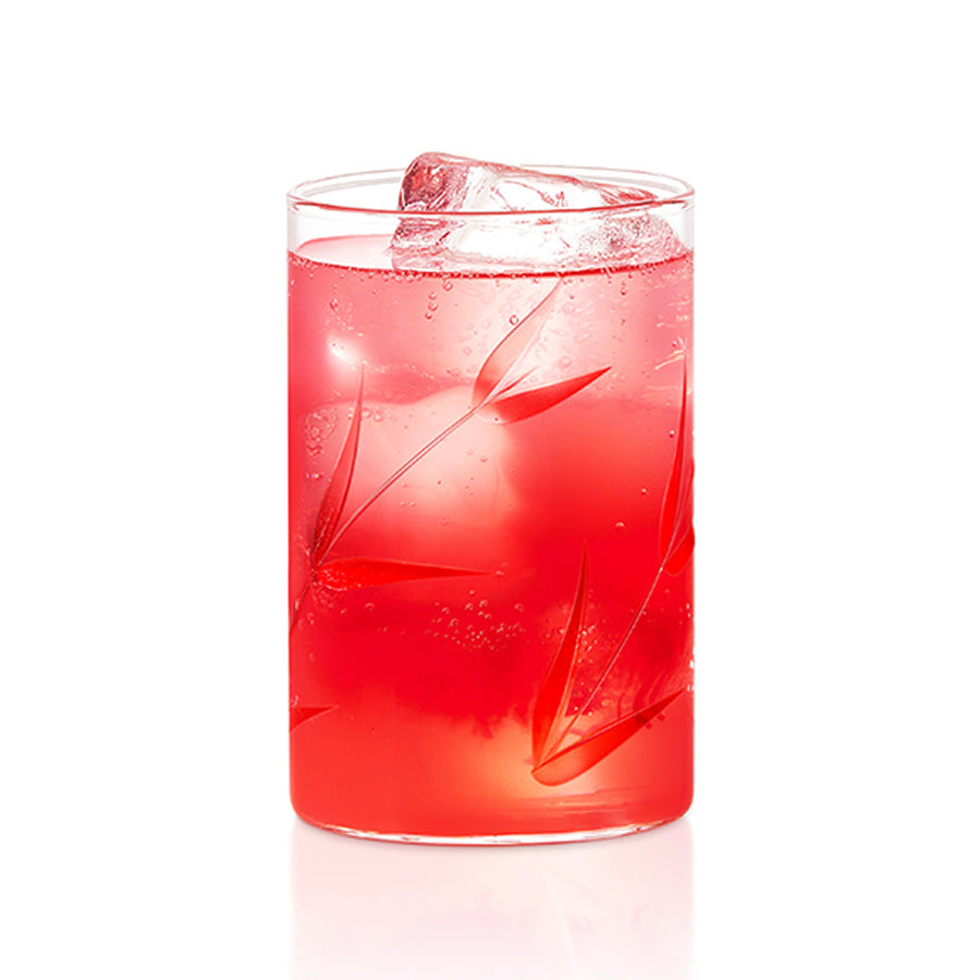 BOROSIL Vision Creeper Glass Set Of 6 | Beverage Glasses For Juice | Scratch Resistant | Microwave Safe | Lightweight | 295ML & 350ML