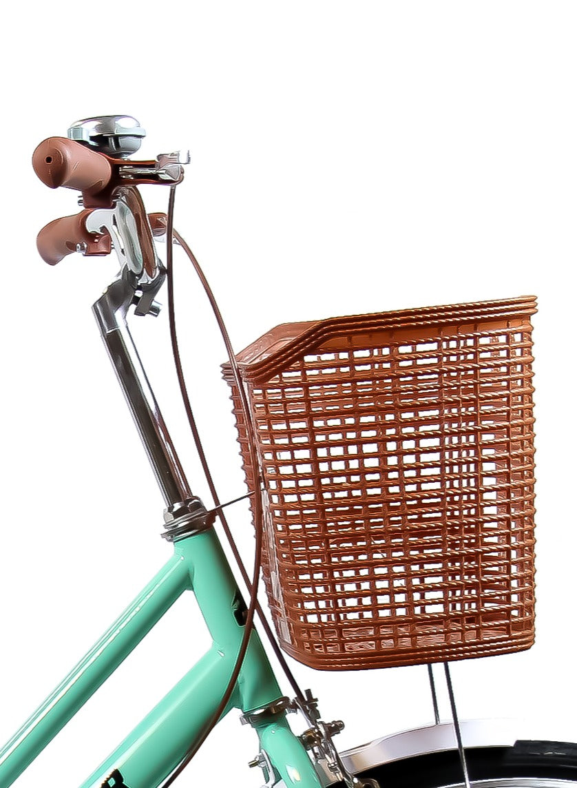 MOUNTAIN GEAR Lady Cruise Bike 26inch With Single Speed | Road Bicycle | City bike | Comfort Cycle for Women | Adjustable Seat Heights | Front Basket | Rear Seat and Rear Carrier - MGR311375