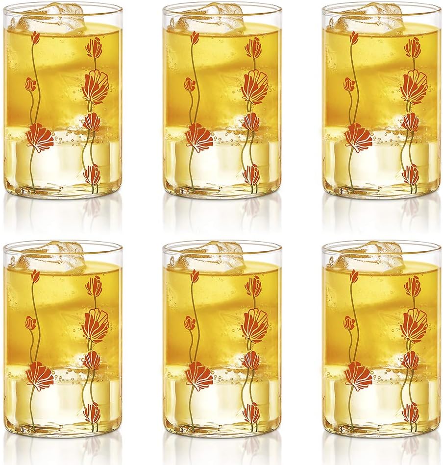 BOROSIL Vision Designer Glass Set Of 6 | Beverage Glasses For Juice | Scratch Resistant | Microwave Safe | Lightweight | 295ML | BVVREBDM295